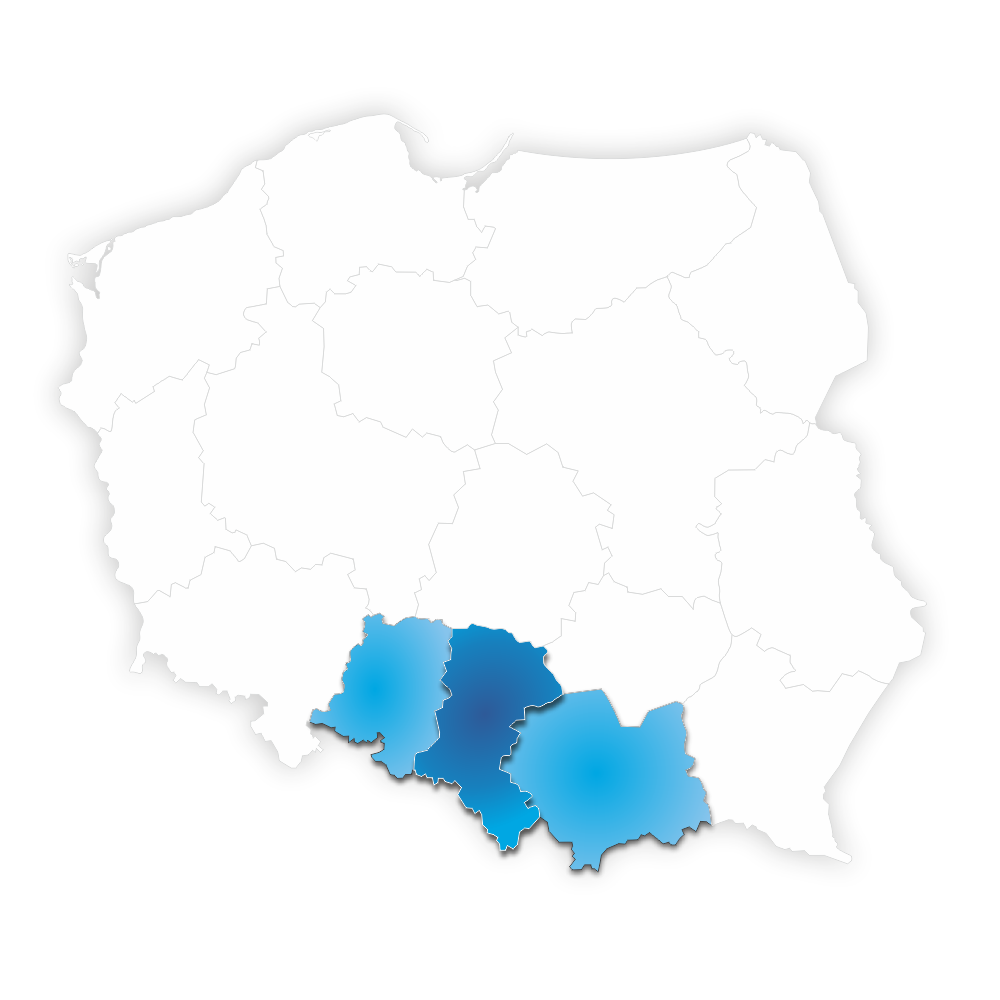 obszar dzaiałalności